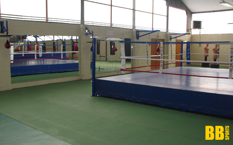 Ring section boxe Assas Angers